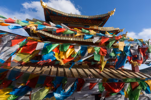 Item #41600090062 Media