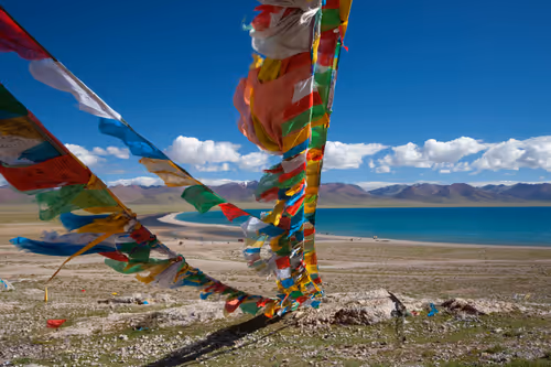 Item #41600040001 Media