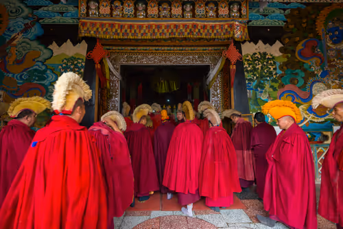 Item #41600090012 Media