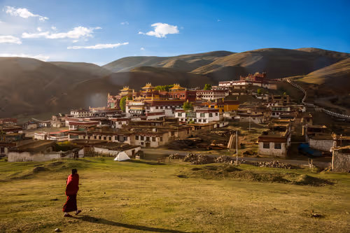 Item #41600090069 Media