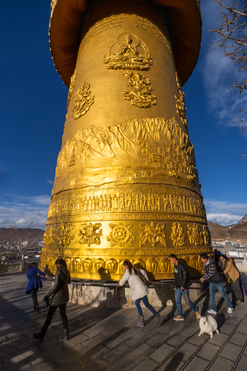 Item #41600090037 Media