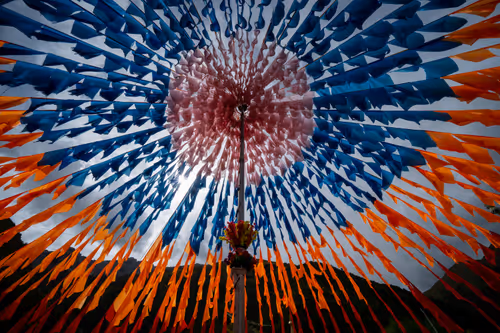 Item #41600090030 Media