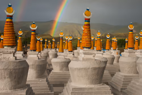 Item #41600090059 Media