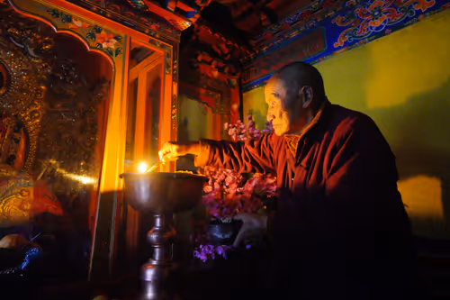 Item #41600090002 Media