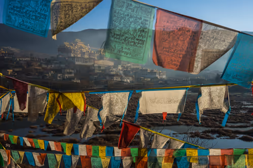 Item #41600090007 Media