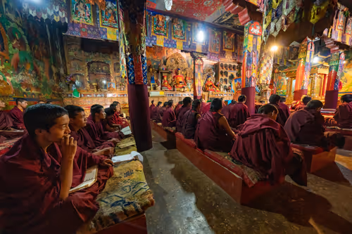 Item #41600090019 Media