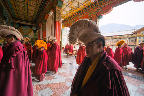 Item #41600090032 Media