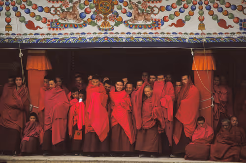 Item #41600090013 Media