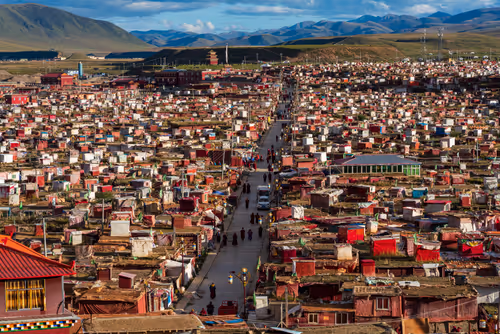 Item #41600090053 Media