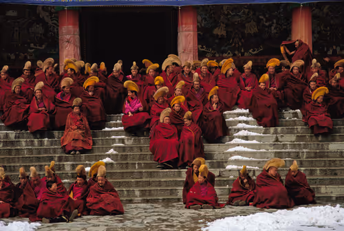 Item #41600090020 Media