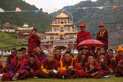 Item #41600090050 Media