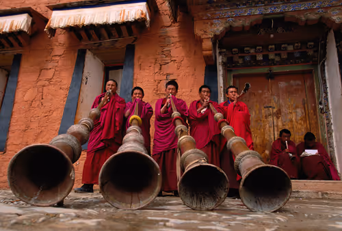 Item #41600090031 Media