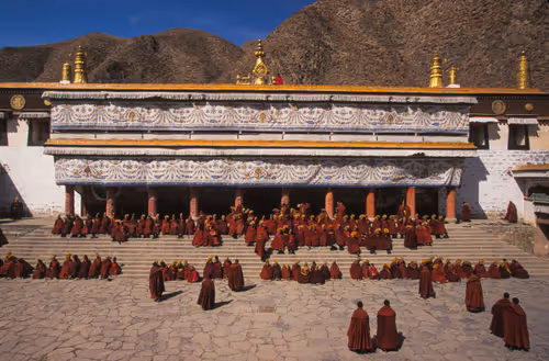 Item #41600090063 Media