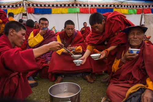 Item #41600090056 Media