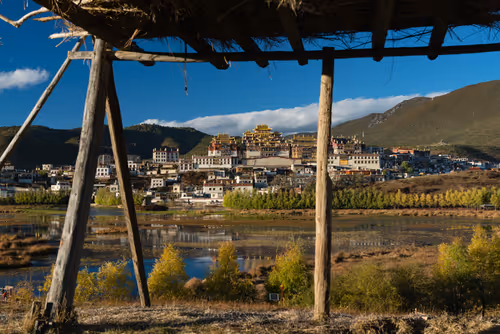 Item #41600070001 Media