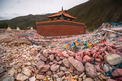 Item #41600030001 Media