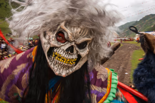 Item #41600090025 Media