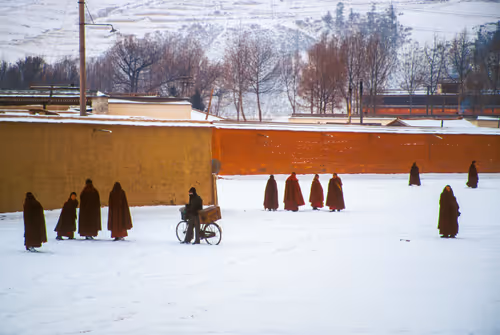 Item #41600090040 Media