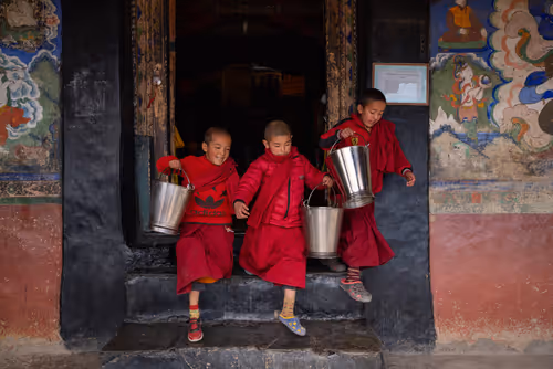 Item #41600090023 Media