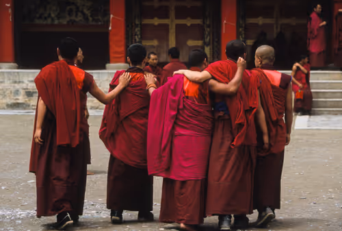 Item #41600090029 Media