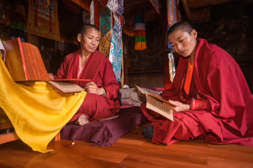 Item #41600050001 Media