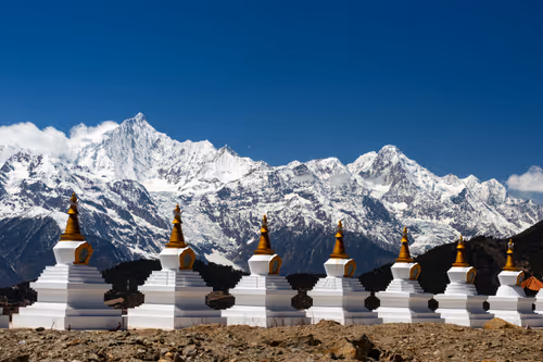 Item #41600090005 Media