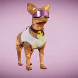 Chihuahua 34