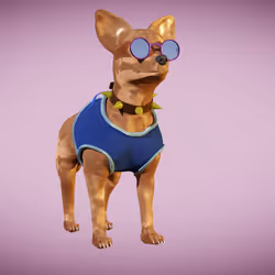 Chihuahua 7