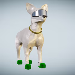Chihuahua 9
