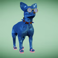 Chihuahua 35