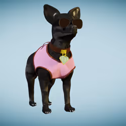 Chihuahua 8