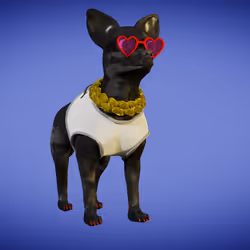 Chihuahua 6