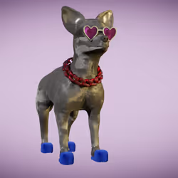 Chihuahua 17