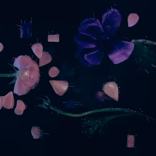 Thin white line on the water