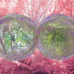 Merge Bubble #1/8888