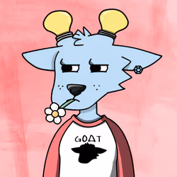 53