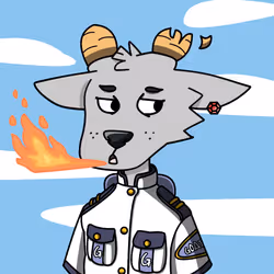 6