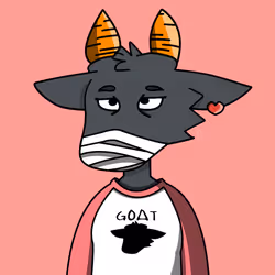 41