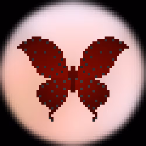 Butterfly Bubble Phases