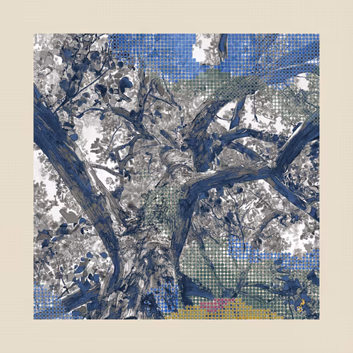 Gridharmonics Undershade