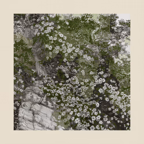 Gridharmonics Undershade