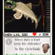 TROUTPEPE | Series 1 Card 44