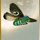 PEPEMOTHRA | Series 22 Card 1