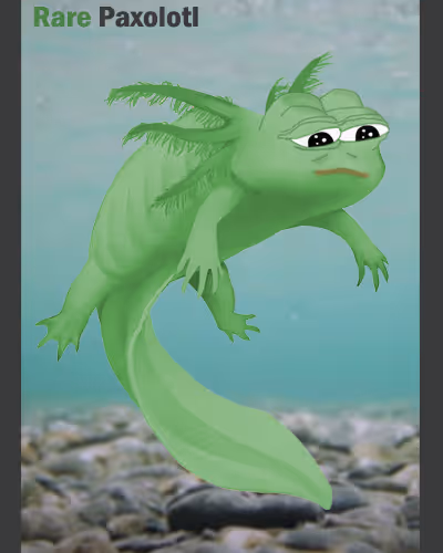 Rare Pepe Curated