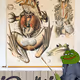 92841699406675398400986464822407439395860469884746736735821418990430438933066