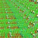 56176405664218890321427566410630177951137352946884361434331710537417338206472
