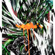 91610193293589623892308314457154991274214051596674820272257050101899621763382