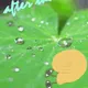 FTERTHERAIN | Series 26 Card 6