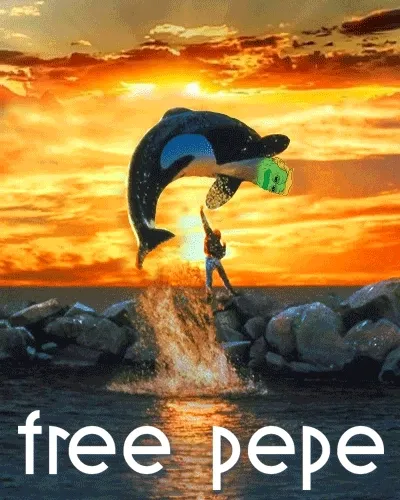 Rare Pepe Curated