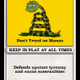GADSDENPEPE | Series 2 Card 43